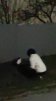Kristen_356