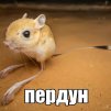 erwer
