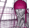 poPkamikAsbi