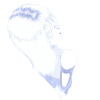 poPkamikAsbi
