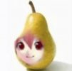 LoginKokLol