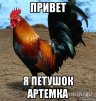 bo4ka_bobra