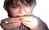 frunze_mode