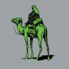 ecnasity