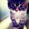 Oliver_Rayson