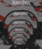 Xerchia