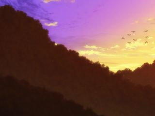  6    -  